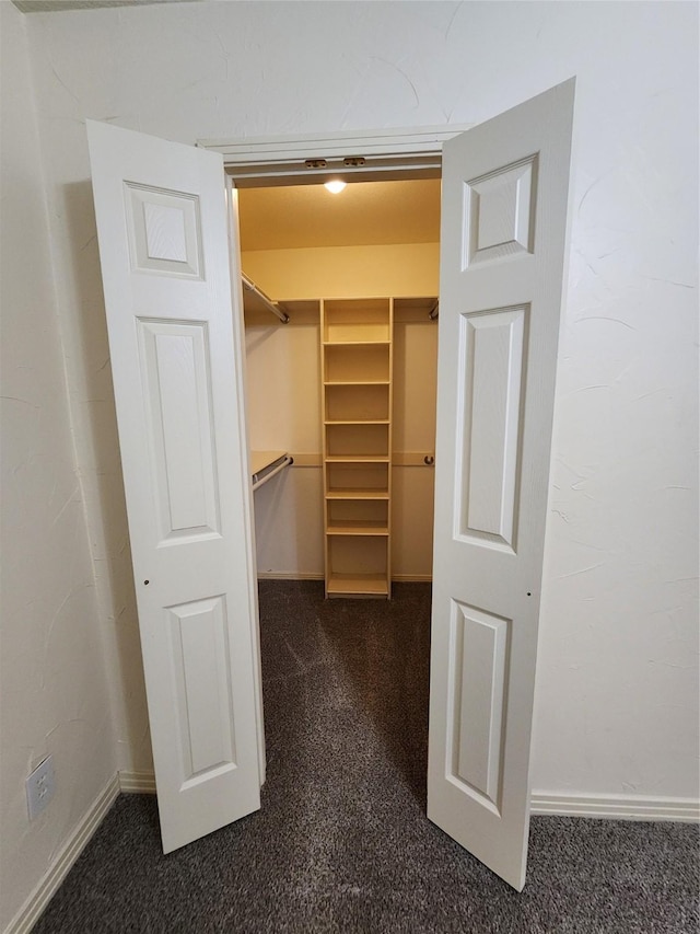 walk in closet with dark carpet