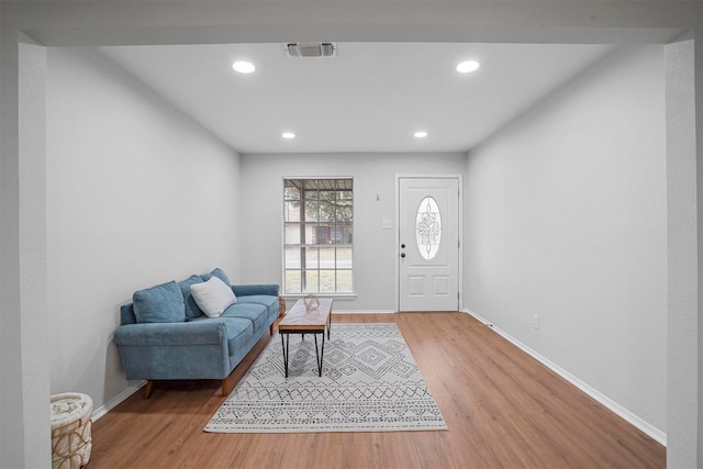 foyer featuring wood-type flooring