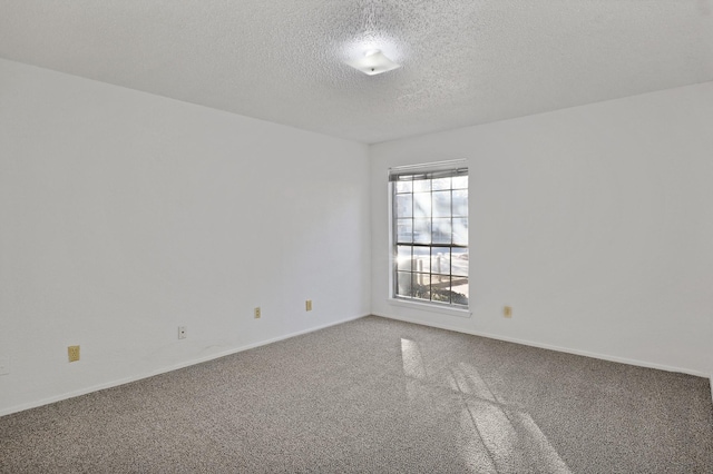 spare room featuring carpet and a textured ceiling