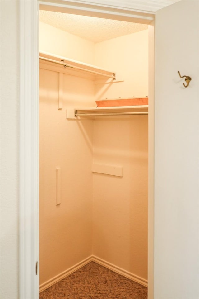 walk in closet featuring carpet flooring