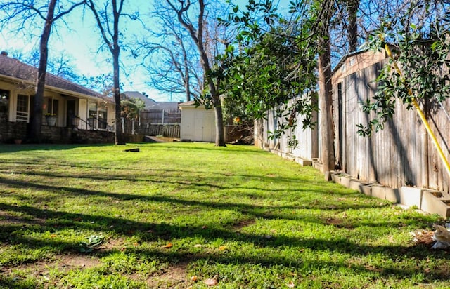 view of yard featuring a storage shed