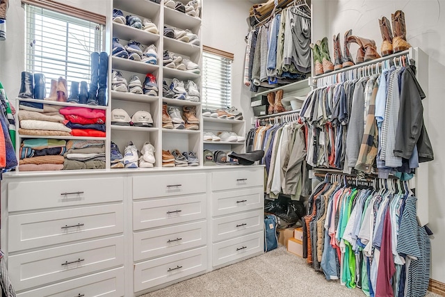 spacious closet with light carpet