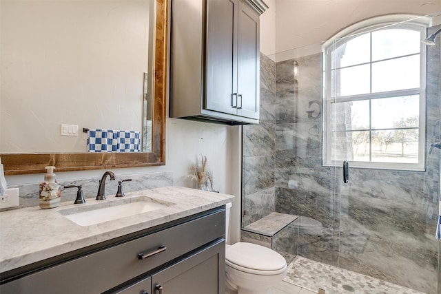 bathroom with vanity, toilet, and a shower with shower door