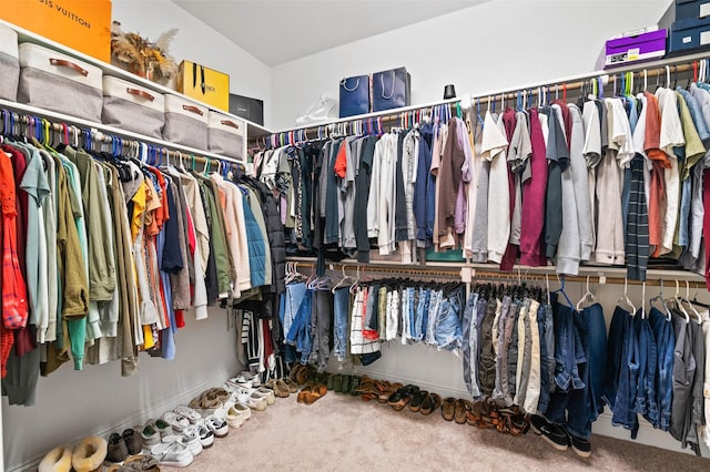 spacious closet featuring carpet