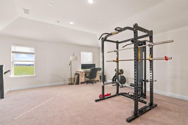 workout area featuring carpet flooring