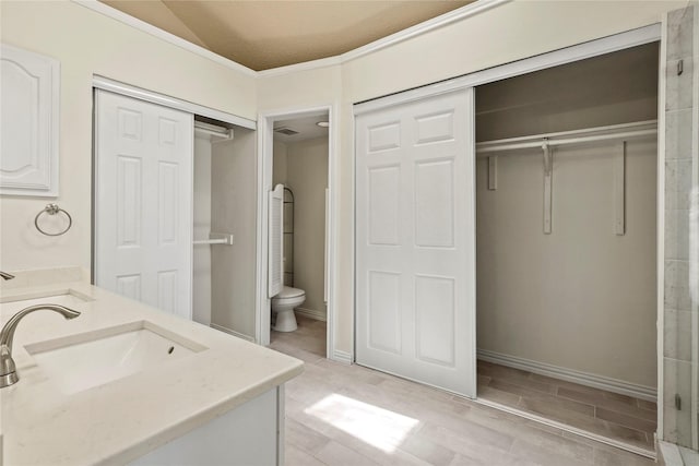 bathroom featuring vanity, vaulted ceiling, and toilet