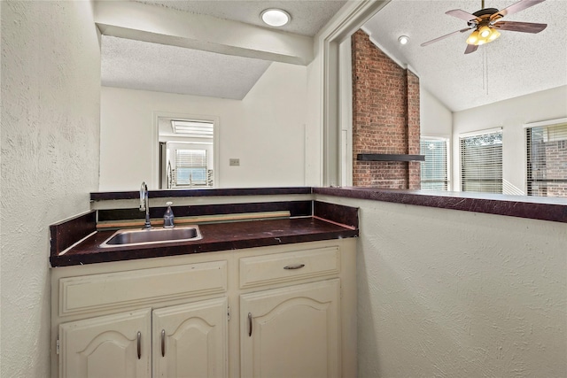 kitchen featuring lofted ceiling, sink, plenty of natural light, and a textured ceiling