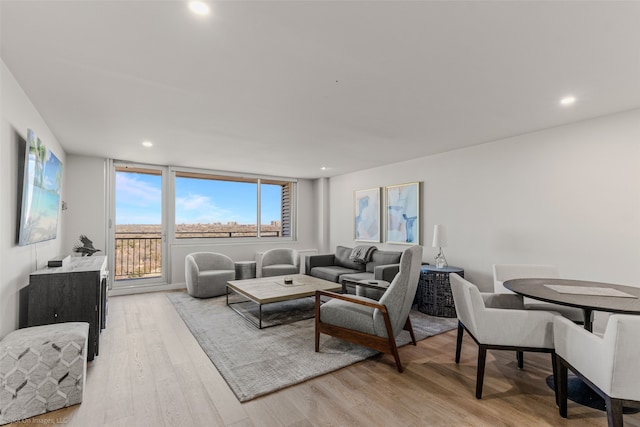 living room with light hardwood / wood-style flooring