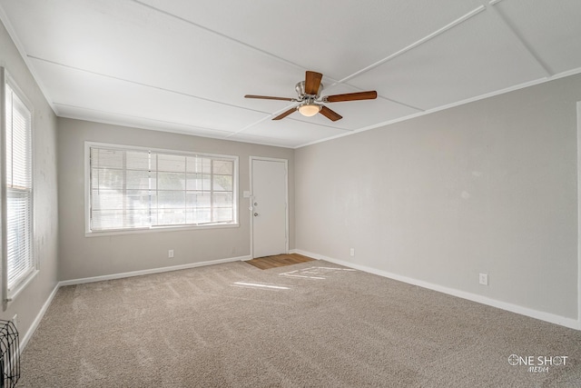 unfurnished room with crown molding, plenty of natural light, ceiling fan, and carpet flooring