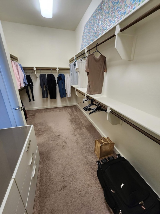 walk in closet featuring carpet floors