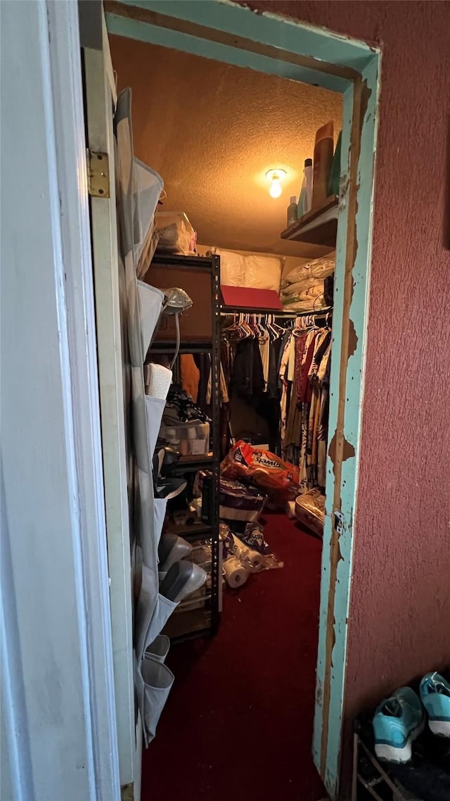 view of walk in closet