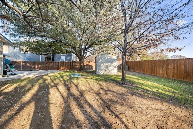 view of yard with a shed