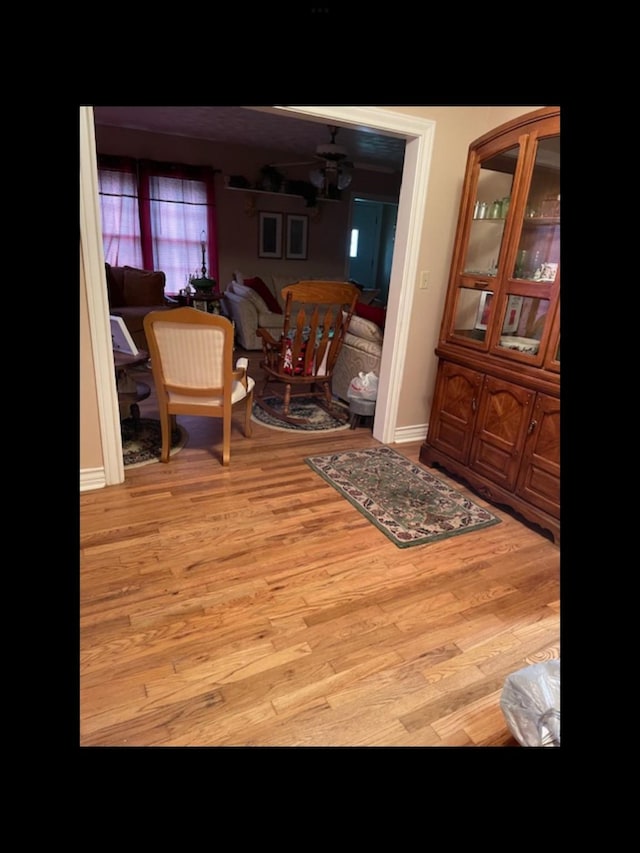 interior space featuring ceiling fan and light hardwood / wood-style floors