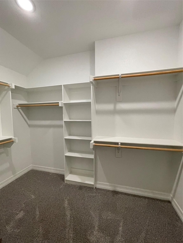 walk in closet featuring vaulted ceiling and dark colored carpet