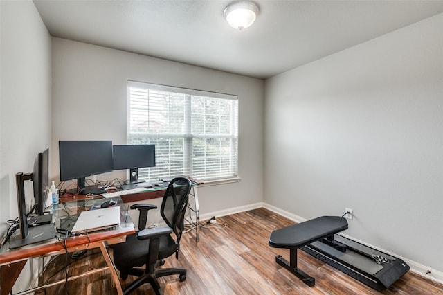 office area featuring wood-type flooring