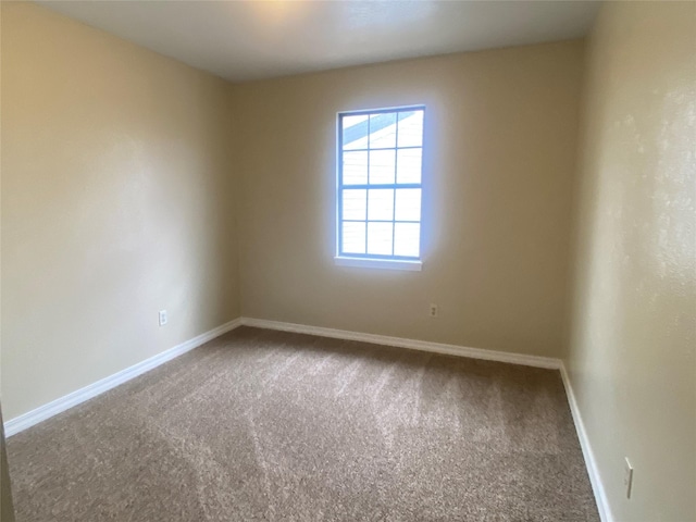 spare room featuring carpet floors