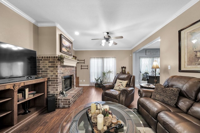 living room featuring hardwood / wood-style floors, a fireplace, ornamental molding, and ceiling fan