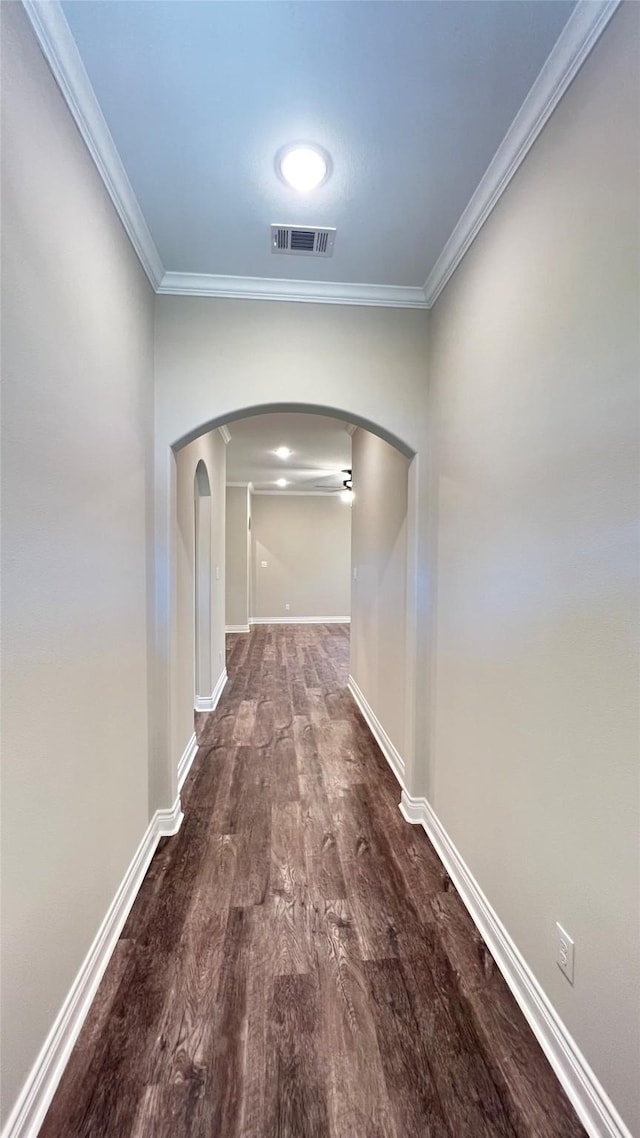 corridor featuring crown molding and dark wood-type flooring