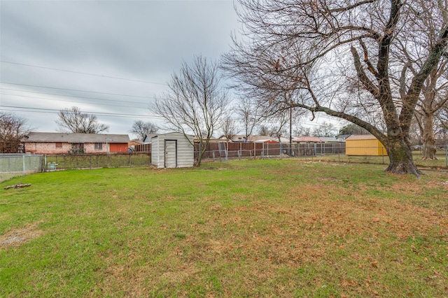 view of yard with a storage shed