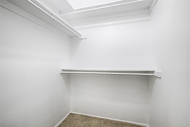 spacious closet with carpet