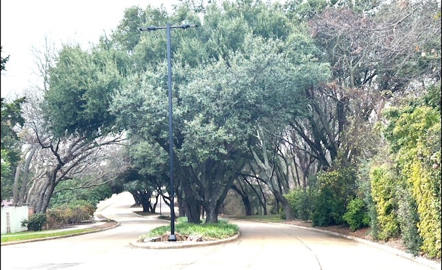 view of street featuring curbs