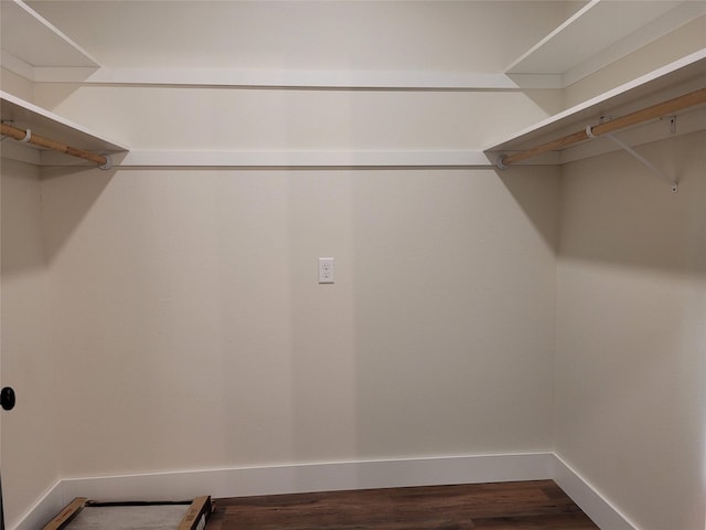 walk in closet featuring dark hardwood / wood-style flooring