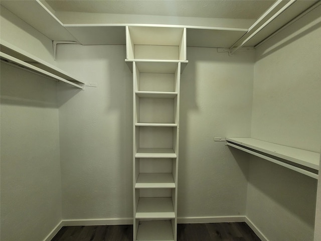 walk in closet featuring dark hardwood / wood-style floors