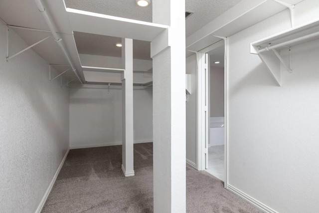 spacious closet featuring carpet flooring