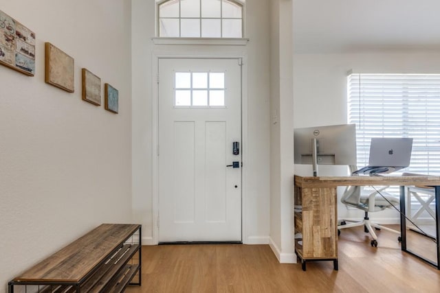 foyer featuring plenty of natural light and light hardwood / wood-style flooring