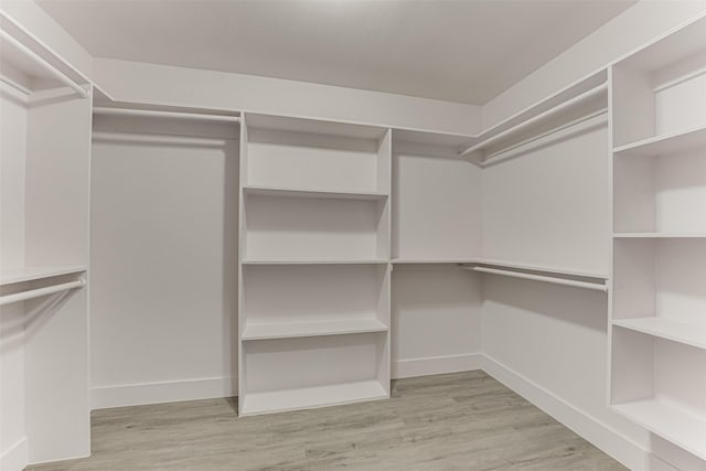 walk in closet with light wood-type flooring