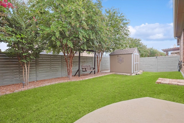 view of yard with a storage shed