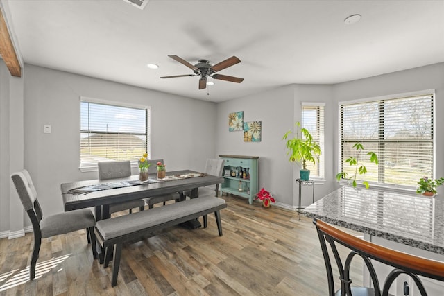 dining room with ceiling fan, hardwood / wood-style floors, and a healthy amount of sunlight