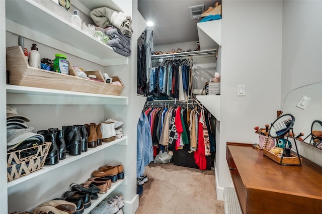 spacious closet with light colored carpet