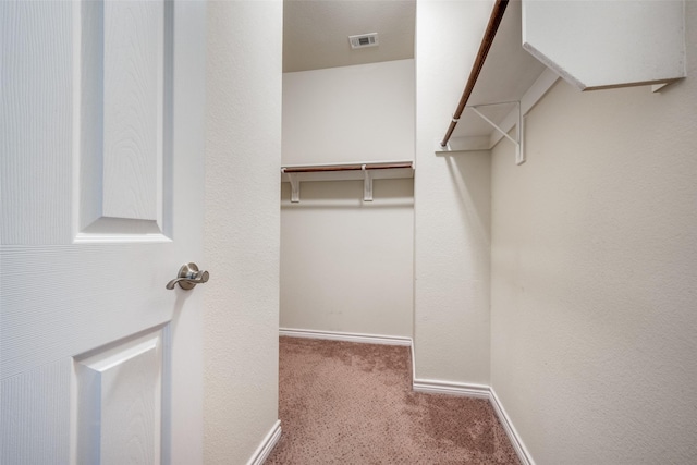 walk in closet featuring carpet floors