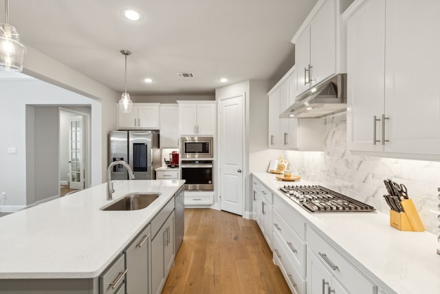 kitchen with light wood-type flooring, a sink, stainless steel appliances, under cabinet range hood, and tasteful backsplash