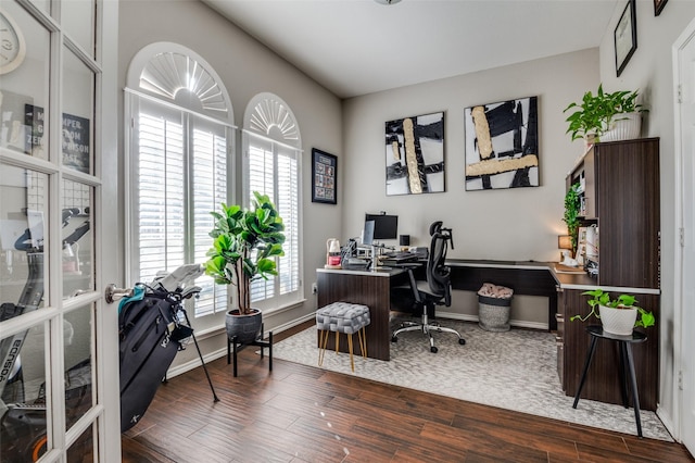 office area featuring dark hardwood / wood-style floors