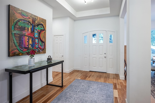 foyer with a raised ceiling and hardwood / wood-style floors