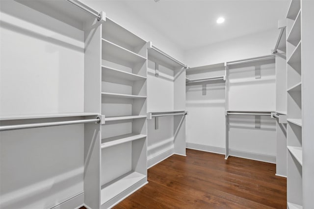 spacious closet featuring dark wood-style floors