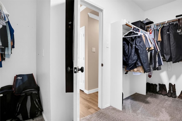 spacious closet featuring carpet