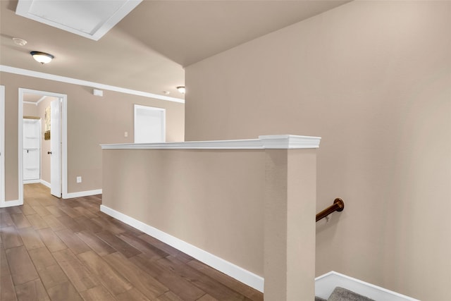 hallway with wood-type flooring and ornamental molding