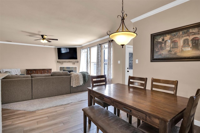 dining room featuring crown molding, light hardwood / wood-style floors, and ceiling fan