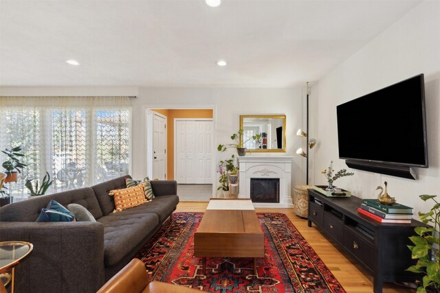 living room featuring hardwood / wood-style floors