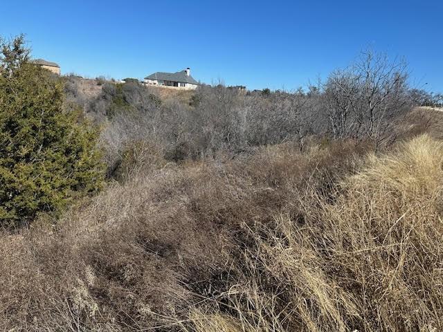 Listing photo 2 for 1620 Canyon Wren Loop, Graford TX 76449