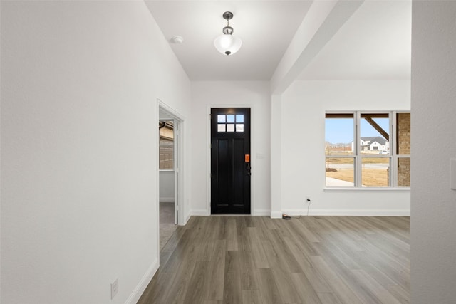 foyer entrance with a wealth of natural light and light hardwood / wood-style floors