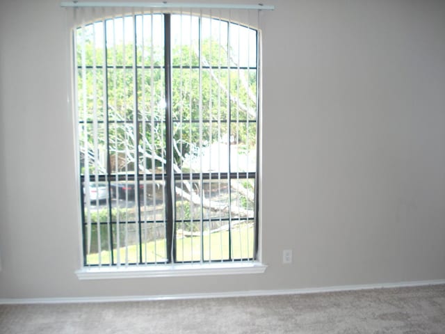 spare room with plenty of natural light and carpet floors