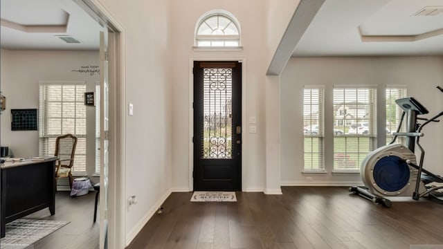 entryway with dark hardwood / wood-style floors and a wealth of natural light