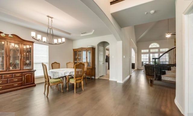 dining area featuring a tray ceiling, dark hardwood / wood-style floors, and a healthy amount of sunlight