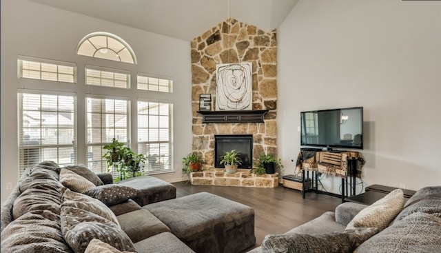 living room featuring wood-type flooring, high vaulted ceiling, and a fireplace