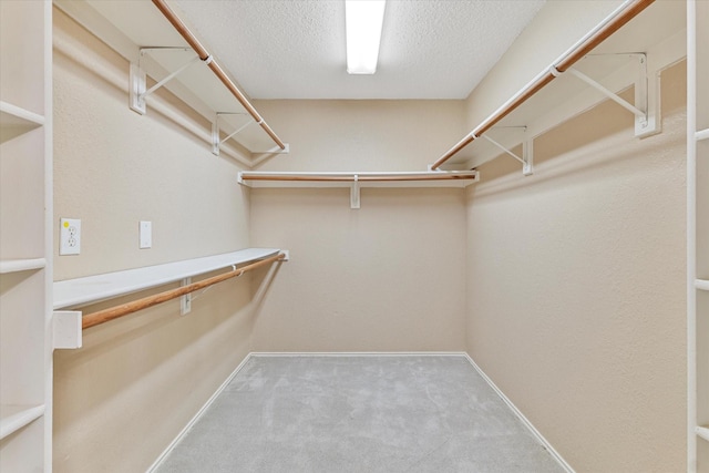 walk in closet with light colored carpet