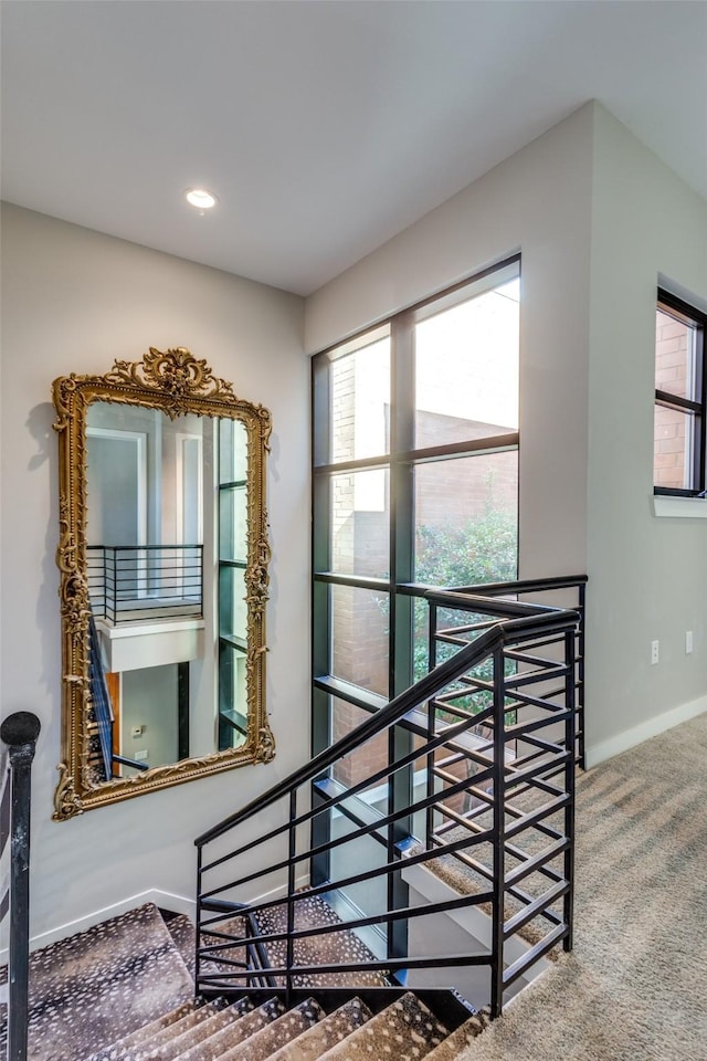 stairs with carpet floors